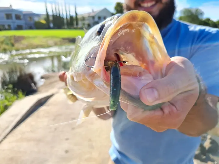 Fish caught on a Geronimo bait