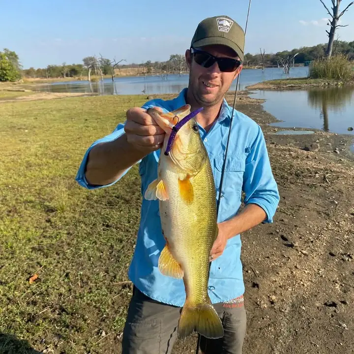 Fish caught on a Geronimo bait