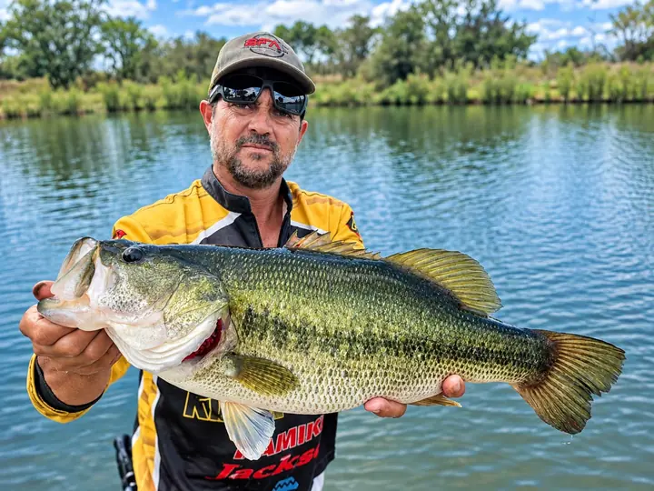 Fish caught on a Geronimo bait