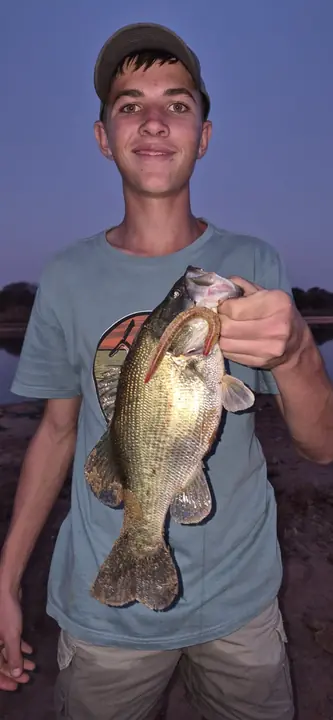 Fish caught on a Geronimo bait