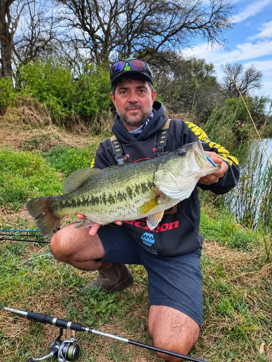 Fish caught on a Geronimo bait