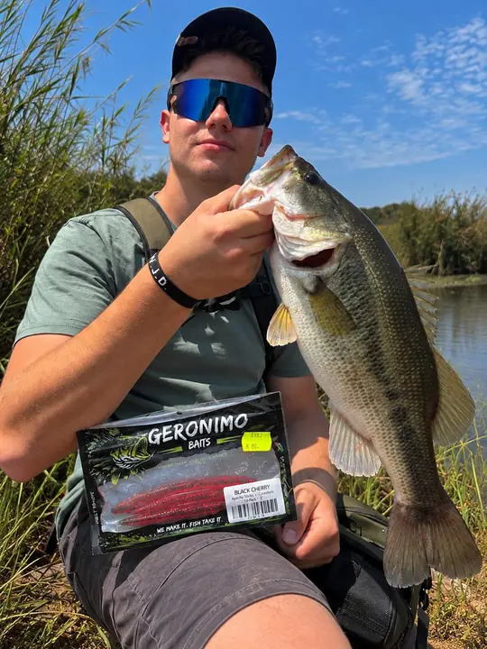Fish caught on a Geronimo bait