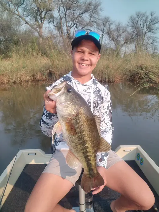 Fish caught on a Geronimo bait