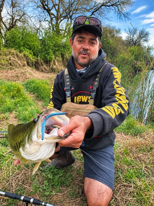 Fish caught on a Geronimo bait