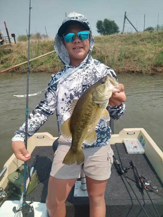 Fish caught on a Geronimo bait